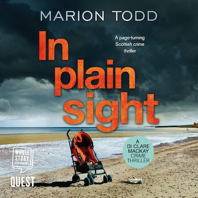 In Plain Sight – omslag til lydbogen af Marion Todd