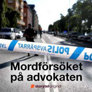 Mordförsöket på advokaten. Förundersökningen