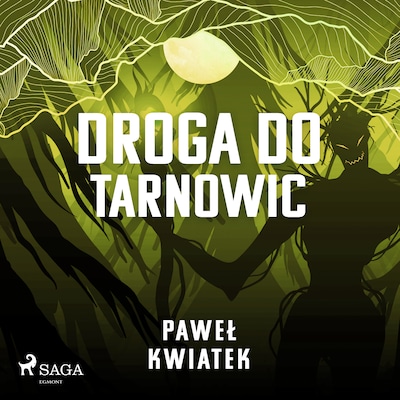 Droga do Tarnowic