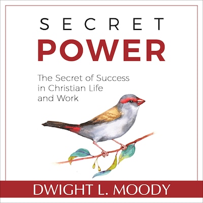 Secret Power - The Secret of Success in Christian Life and Work