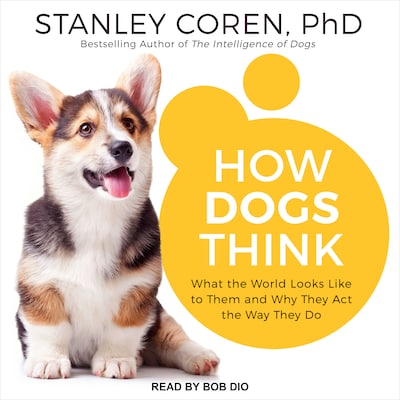 How Dogs Think – omslag til lydbogen af Stanley Coren, PhD