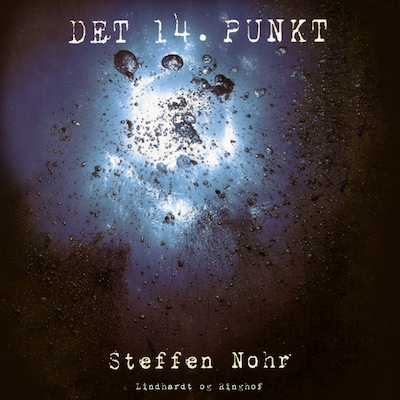 Det 14. punkt – omslag til lydbogen af Steffen Nohr
