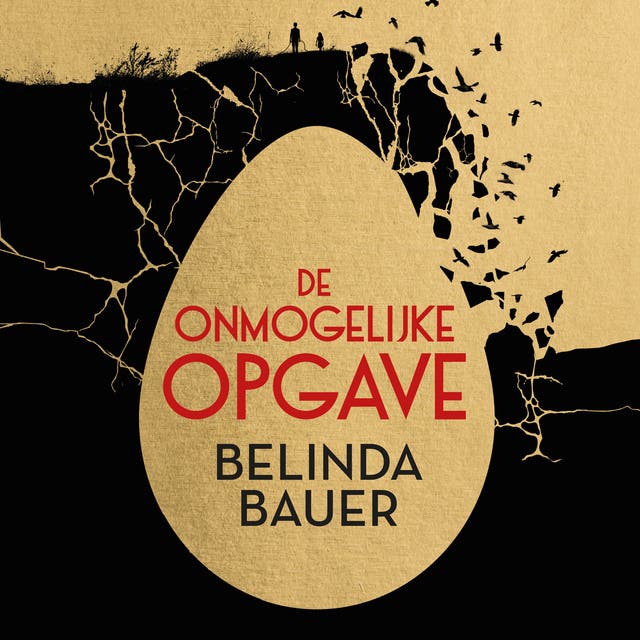 De onmogelijke opgave