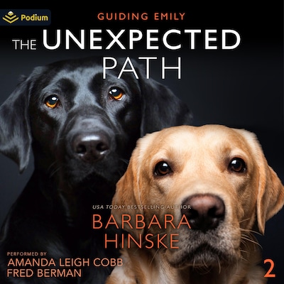 The Unexpected Path – omslag til lydbogen af Barbara Hinske