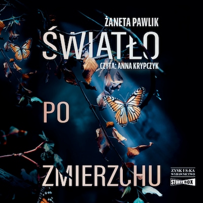 Światło po zmierzchu