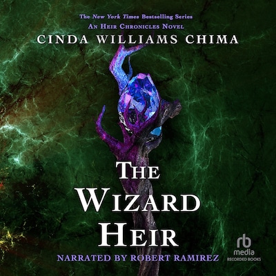 The Wizard Heir