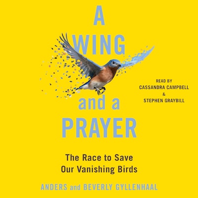 A Wing and a Prayer – omslag til lydbogen af Anders Gyllenhaal, Beverly Gyllenhaal