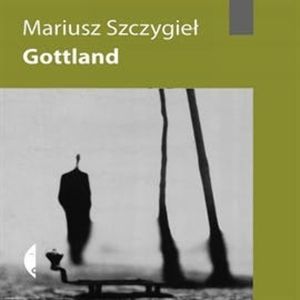 Gottland – okładka audiobooka, autor Mariusz Szczygieł