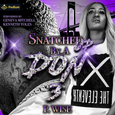 Snatched Up by a Don 3 – omslag til lydbogen af P. Wise