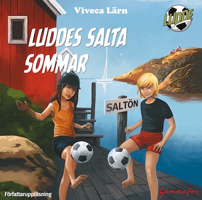 Luddes salta sommar