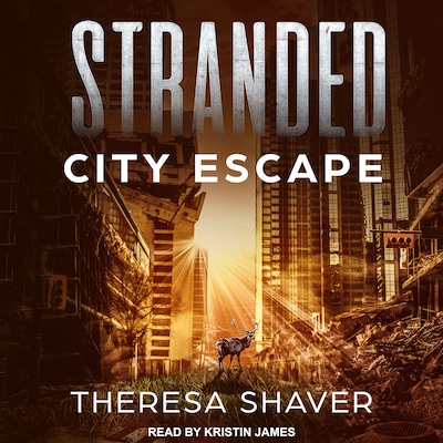 Stranded – omslag til lydbogen af Theresa Shaver