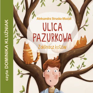 Zaklinacz kotów: Ulica pazurkowa – okładka audiobooka, autor Aleksandra Struska - Musiał