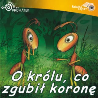 O królu co zgubił koronę – okładka audiobooka, autor Ryszard Adam Gruchawka