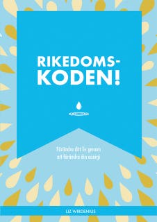 Rikedomskoden – omslag till ljudboken av Liz Wirdenius