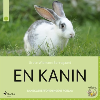 En kanin – omslag til lydbogen af Grete Wiemann Borregaard