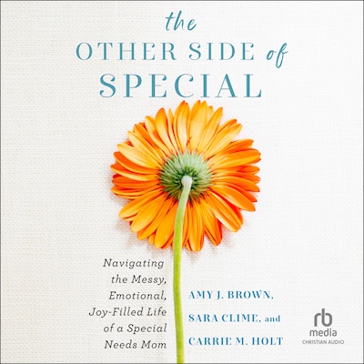 The Other Side of Special – omslag til lydbogen af Amy J. Brown, Sara Clime, Carrie M. Holt