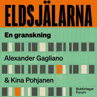 Eldsjälarna : Bidrags-Sverige, gängrekryteringen – och pengarna som försvann. En granskning – omslag till ljudboken av Alexander Gagliano,Kina Pohjanen