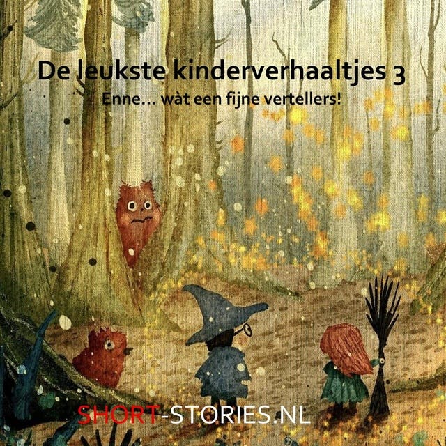 De leukste kinderverhaaltjes 3: Enne… wàt een fijne vertellers!