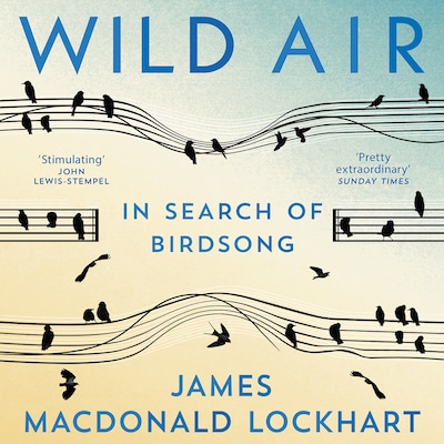 Wild Air – omslag til lydbogen af James Macdonald Lockhart
