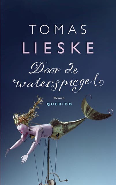 Door de waterspiegel