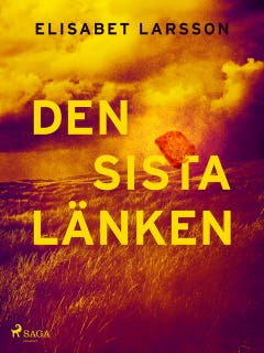 Den sista länken – omslag till ljudboken av Elisabet Larsson