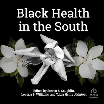 Black Health in the South – omslag til lydbogen af Unknown Author