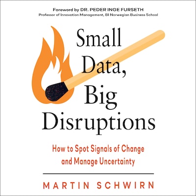 Small Data, Big Disruptions – omslag til lydbogen af Martin Schwirn