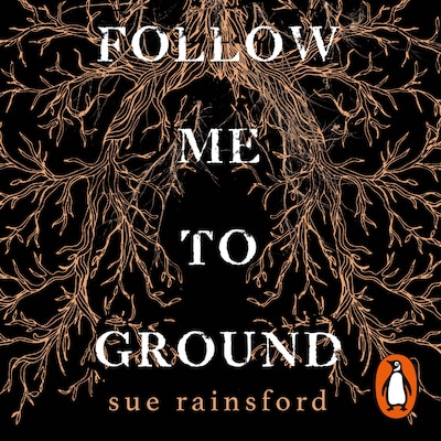 Follow Me To Ground – omslag til lydbogen af Sue Rainsford