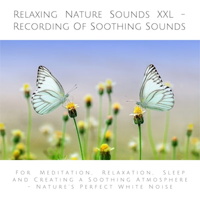 Relaxing Nature Sounds (without music) - Recording Of Soothing Nature Sounds