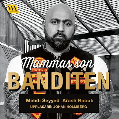 Mammas son banditen - en brutal roman om kriminalitet