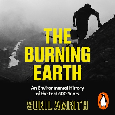 The Burning Earth – omslag til lydbogen af Sunil Amrith