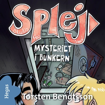 Mysteriet i bunkern