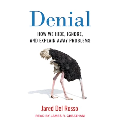 Denial – omslag til lydbogen af Jared Del Rosso