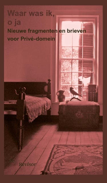 Waar was ik, o ja: Nieuwe fragmenten en brieven voor Privé-domein