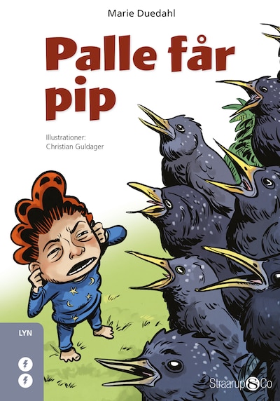 Palle får pip – omslag til lydbogen af Marie Duedahl