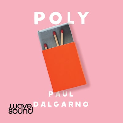Poly – omslag til lydbogen af Paul Dalgarno