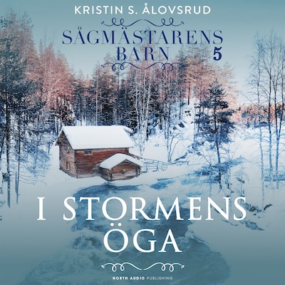 I stormens öga