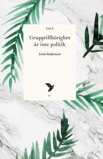 Grupptillhörighet är inte politik