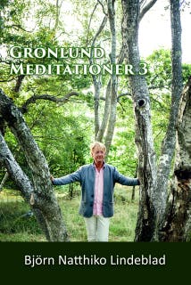 Grönlund Mediationer 3