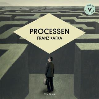 Processen (lättläst)