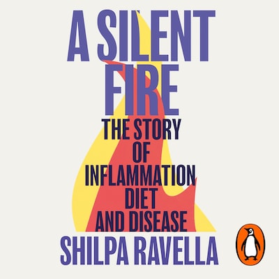 A Silent Fire – omslag til lydbogen af Shilpa Ravella