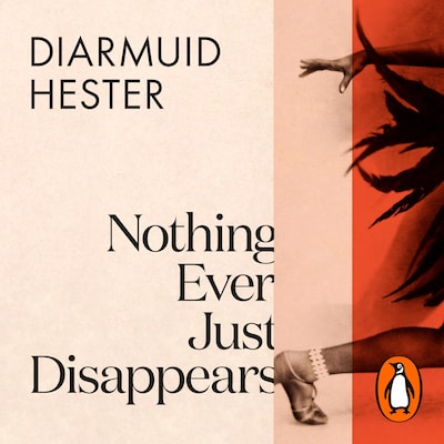 Nothing Ever Just Disappears – omslag til lydbogen af Diarmuid Hester