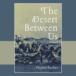 The Desert Between Us: A Novel – omslag till ljudboken av Phyllis Barber
