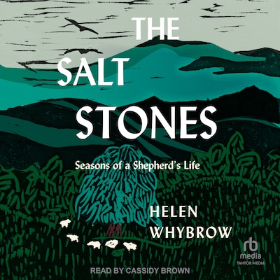 The Salt Stones – omslag til lydbogen af Helen Whybrow