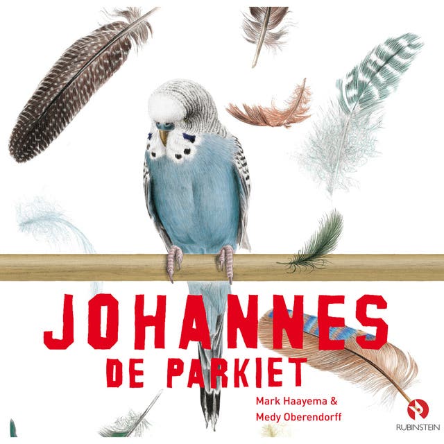 Johannes de Parkiet – omslag van het luisterboek van Mark Haayema