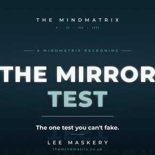 The Mirror Test: The One Test You Can't Fake – omslag till ljudboken av Lee Maskery