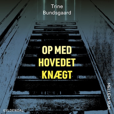 Mellem_rum. Op med hovedet knægt – omslag til lydbogen af Trine Bundsgaard