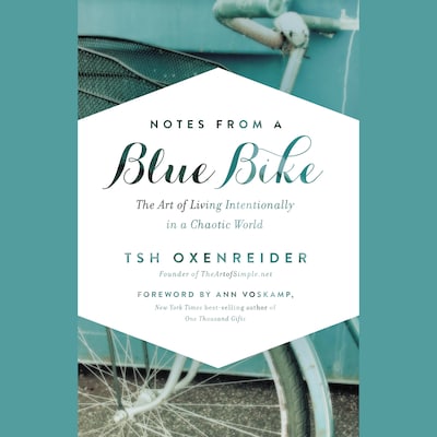 Notes from a Blue Bike