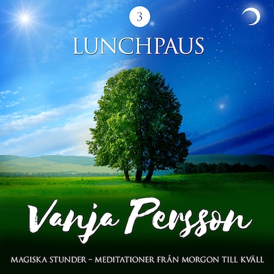Meditation – Lunchpaus