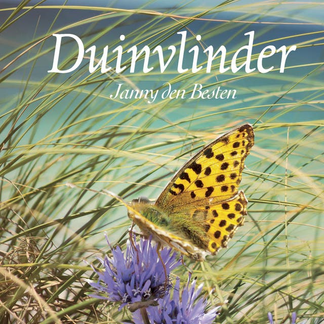 Duinvlinder – omslag van het luisterboek van Janny den Besten